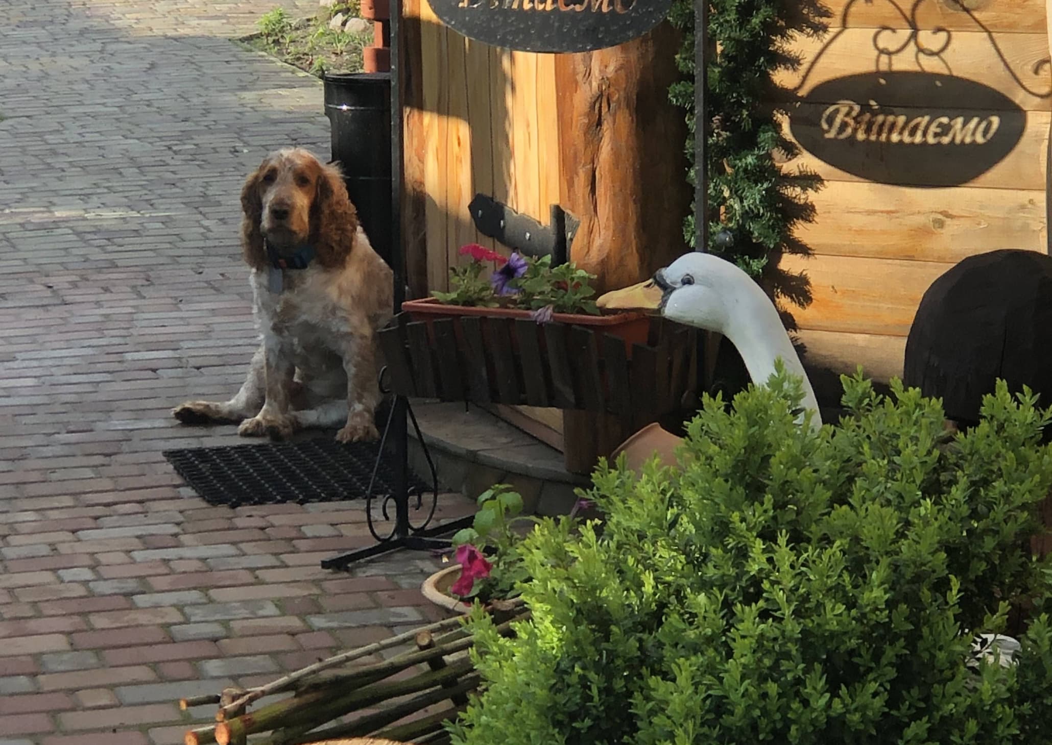 Територія Садиби