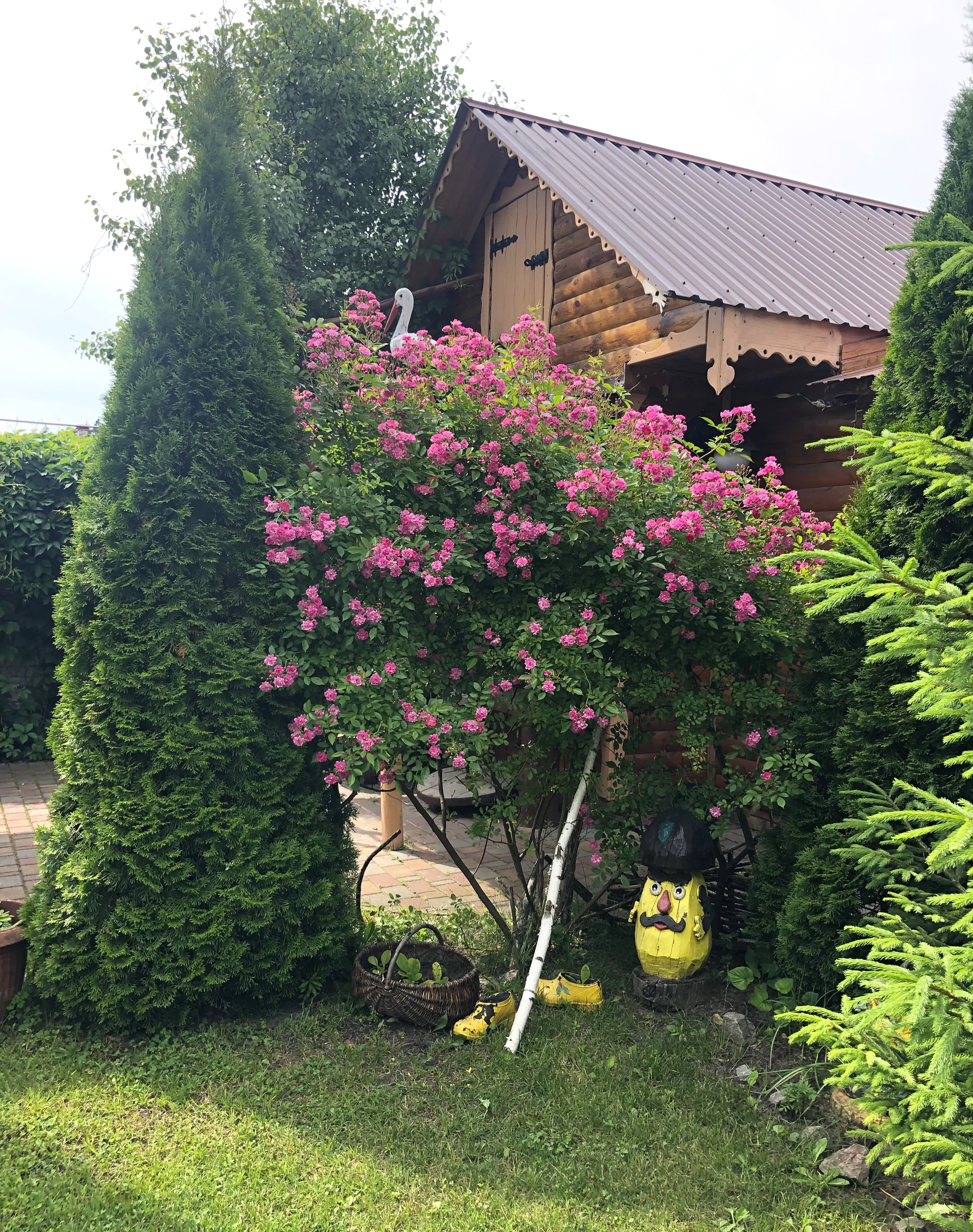 Територія Садиби