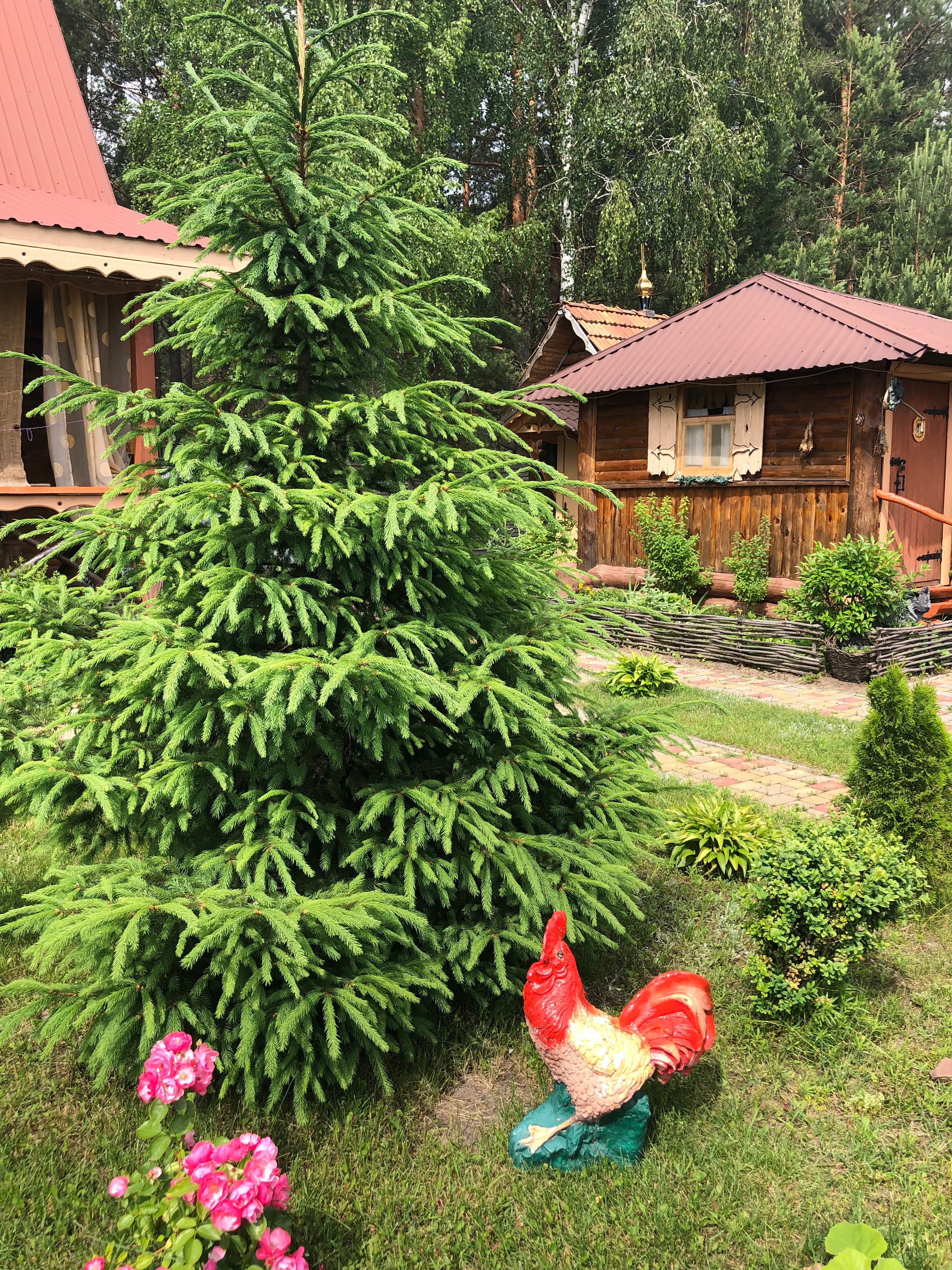 Територія Садиби